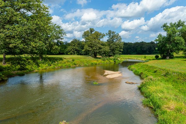 Meilleurs tire-laits main libre : efficacité et confort garantis